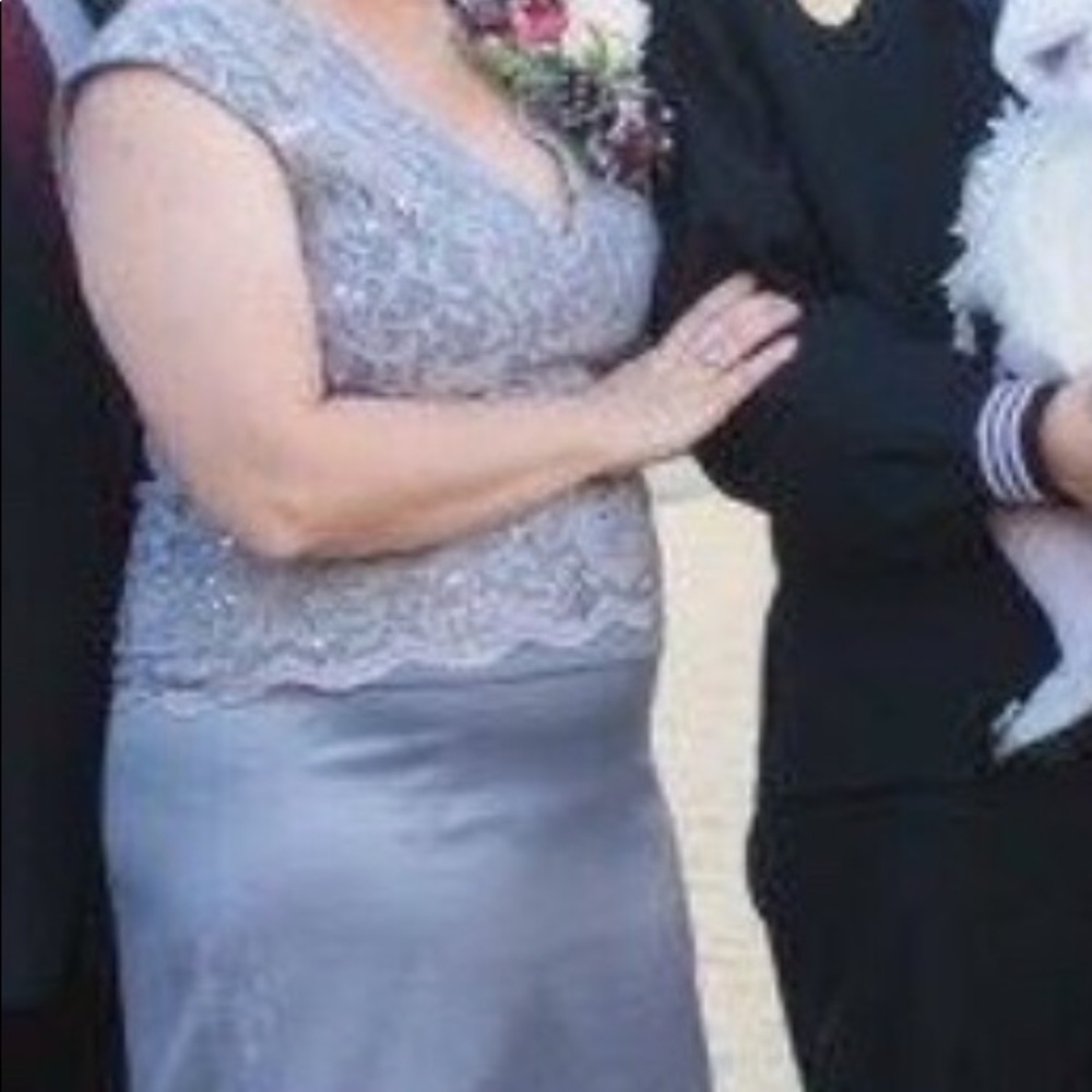 Beautiful Silver Mother of the Bride Formal Gown - Picture 3 of 3